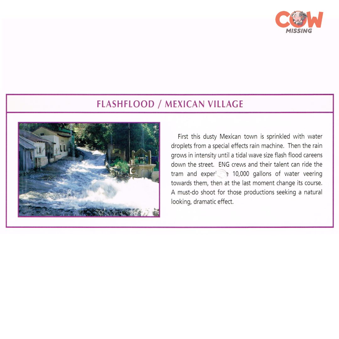 Flash Flood Mexican Village Studio Tour reference image
